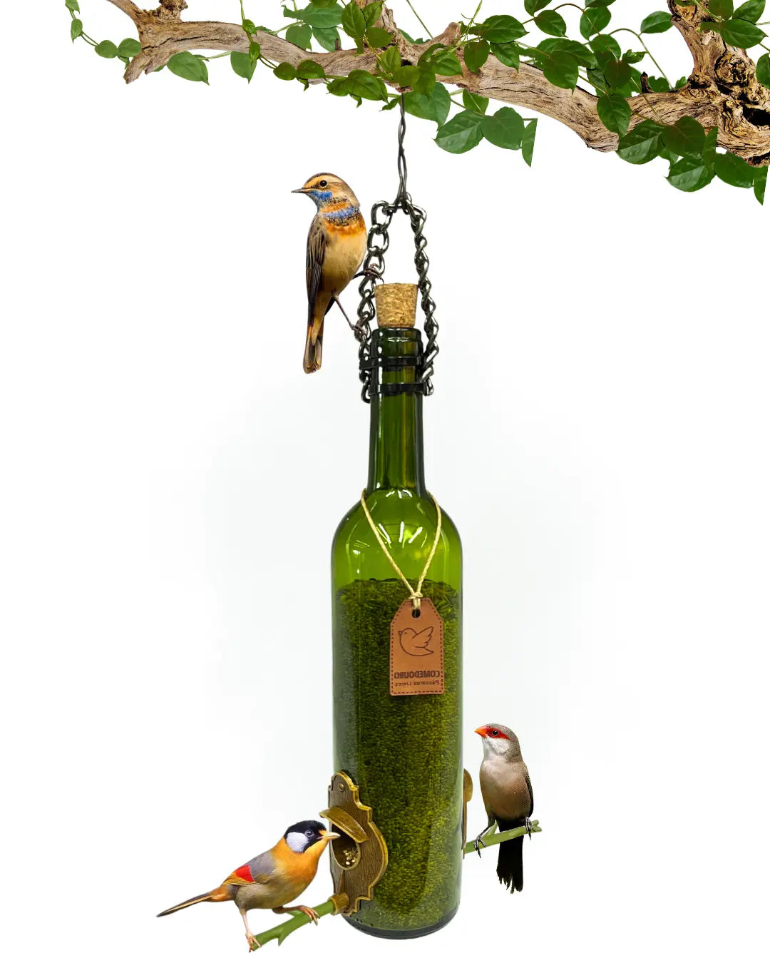 Comedouro Pássaros Livres Vinho Verde